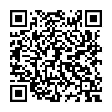 QR code for N29IQT