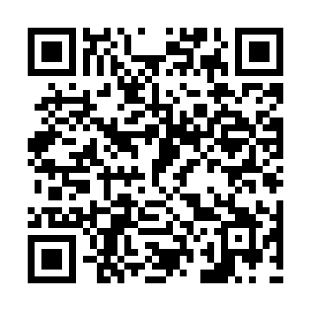 QR code for N29MYY