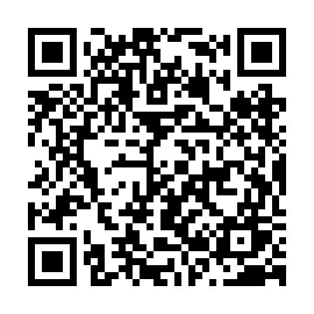 QR code for N29RGW