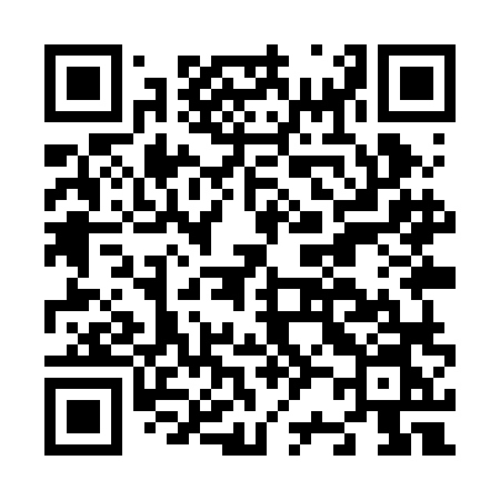 QR code for N29RLN