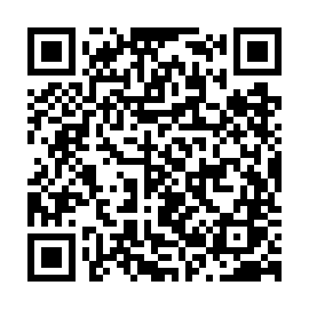 QR code for N29WNS
