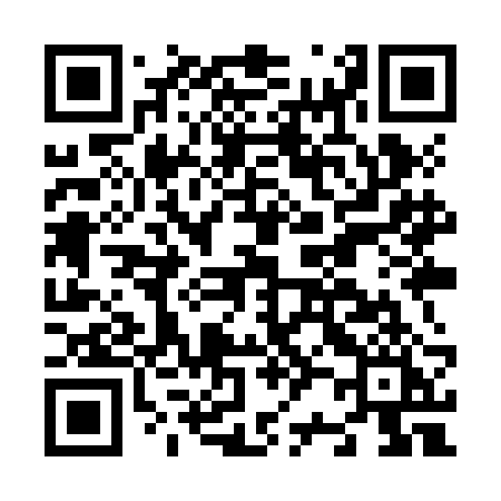 QR code for N29ZBI