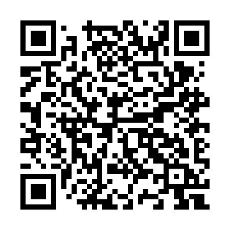 QR code for N30FIC