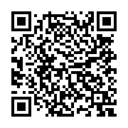 QR code for N30LQQ