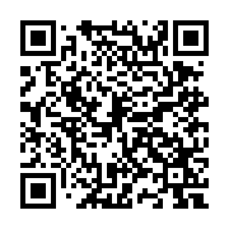 QR code for N33DNO