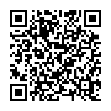 QR code for N33SGL