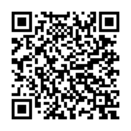 QR code for N38DGX