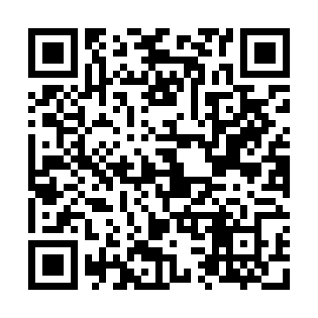 QR code for N38LFZ