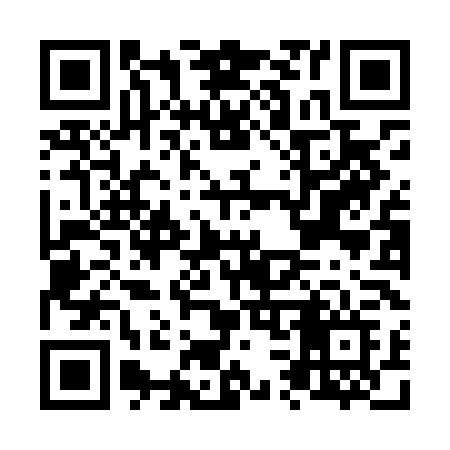 QR code for N38LLF