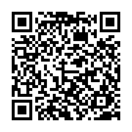 QR code for N38MKN