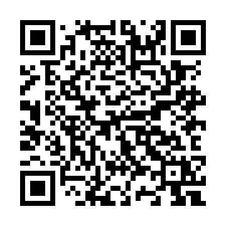 QR code for N38OKX