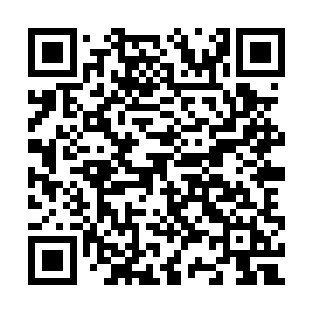 QR code for N38PXH