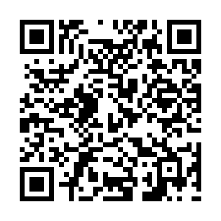 QR code for N38SUB