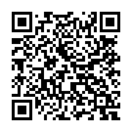 QR code for N40LSV