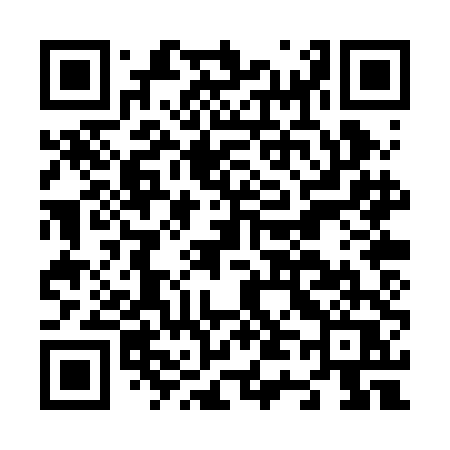 QR code for N40RDQ