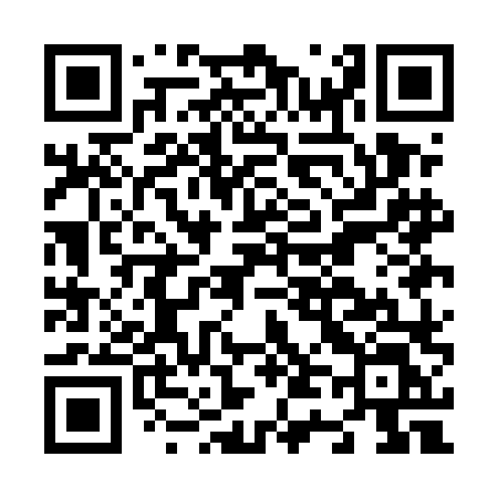 QR code for N41ELL