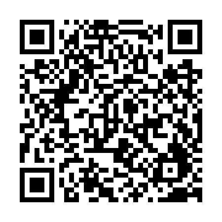 QR code for N41GZF