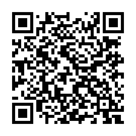 QR code for N41LAI
