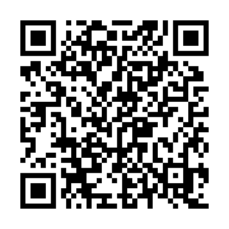 QR code for N41ZZJ