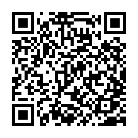 QR code for N42QLQ
