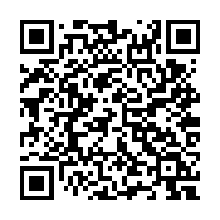 QR code for N42VZL