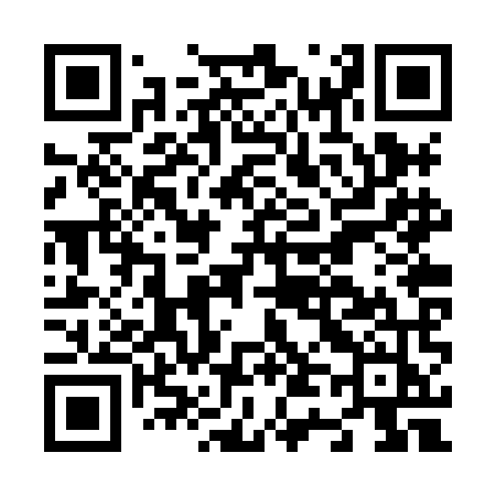 QR code for N42XMJ