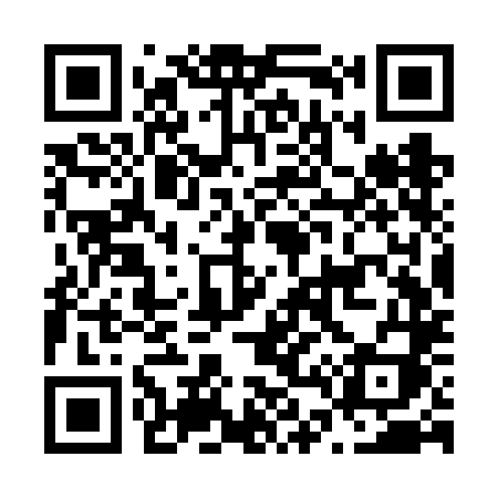 QR code for N43VLI