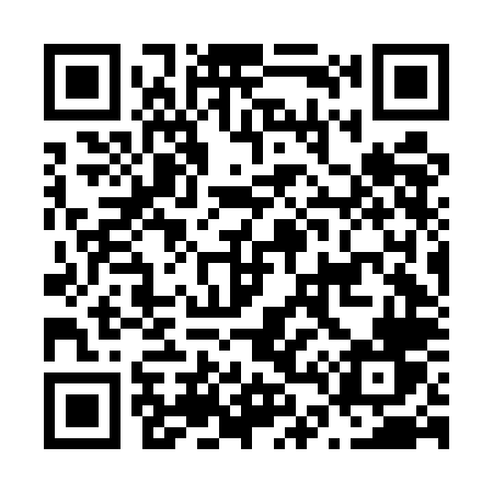 QR code for N46ELV