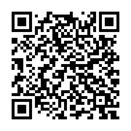 QR code for N46MPT