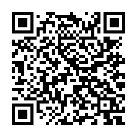 QR code for N46NBS