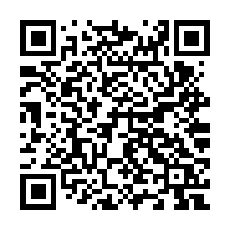 QR code for N46VRS
