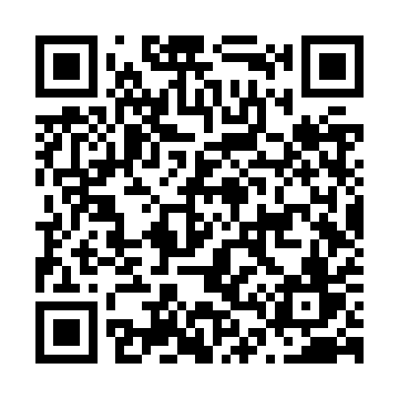 QR code for N46ZQV