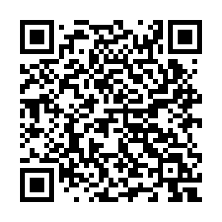 QR code for N49BUL