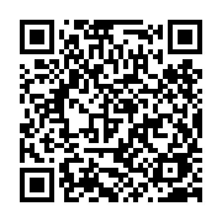 QR code for N49TIE
