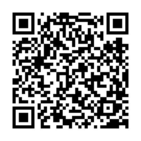 QR code for N49VLX
