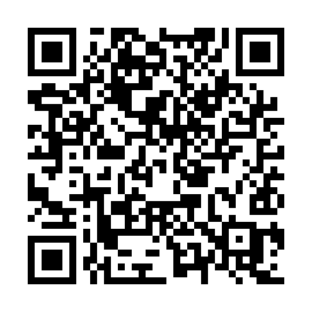 QR code for N51QIC