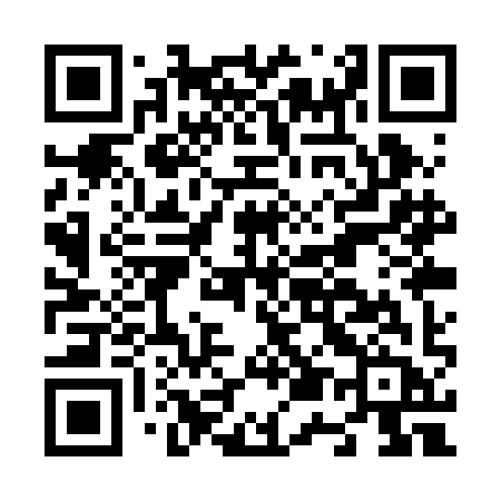 QR code for N51RIB