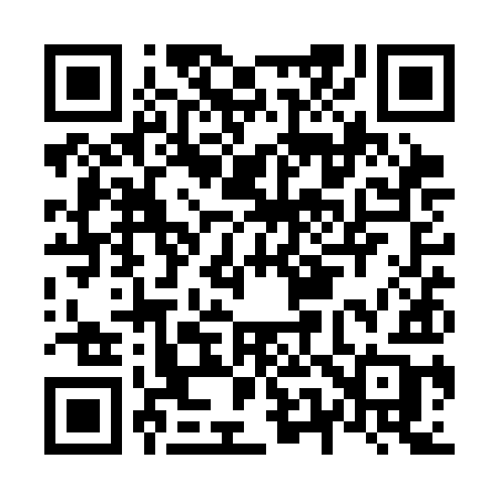 QR code for N51SIB