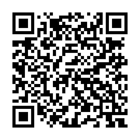 QR code for N53LEK