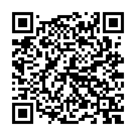 QR code for N53QGQ