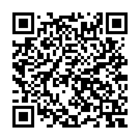 QR code for N53WQQ