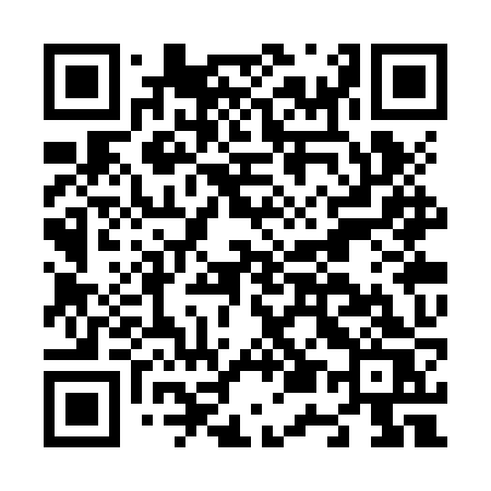 QR code for N53ZZS