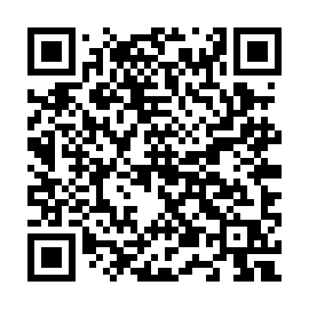 QR code for N55PIP