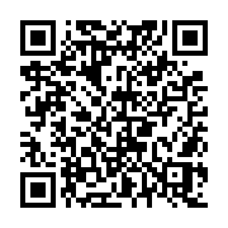QR code for N61VOR