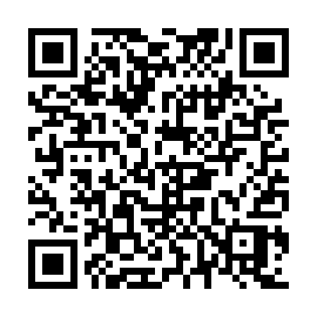 QR code for N63PAR