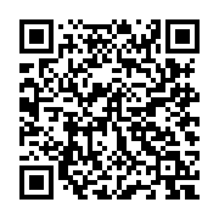 QR code for N64HCL