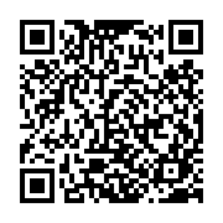 QR code for N81DPL
