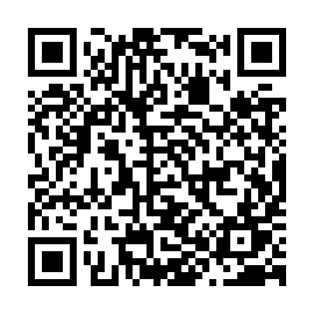 QR code for N81ZYT