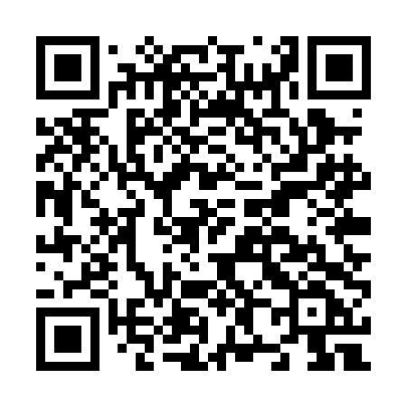 QR code for N85PDF