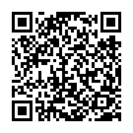 QR code for N85VDZ